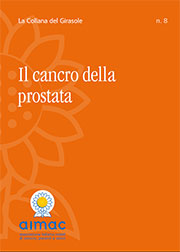 08 Prostata